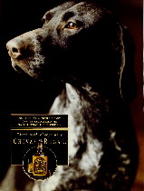 Chivas Regal
